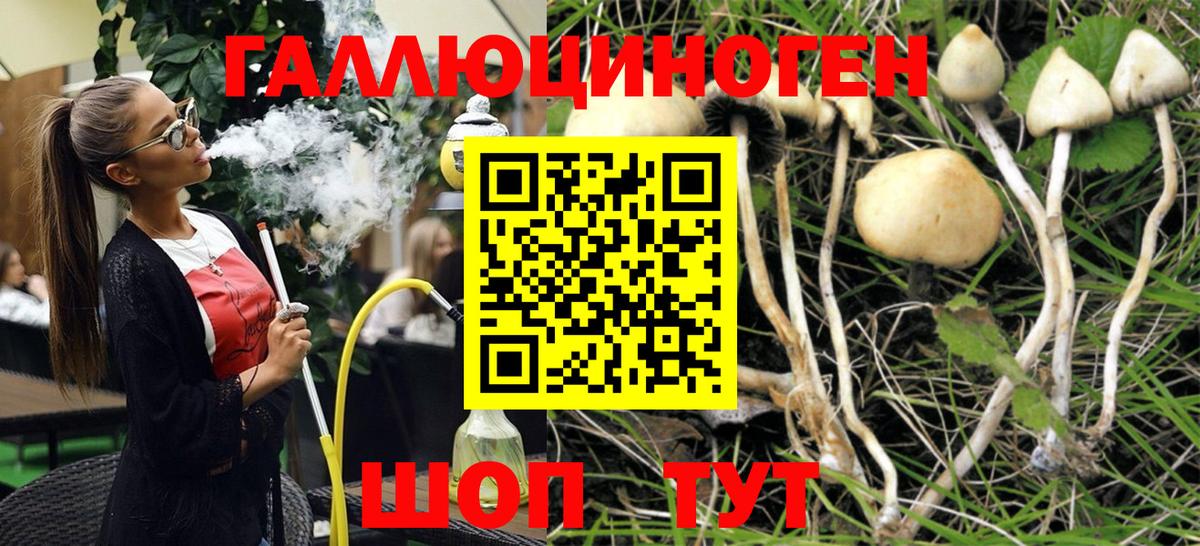 Топки  магазин    Псилоцибиновые грибы Psilocybe  Вход с VPN  Псилоцибиновые грибы Psilocybe 